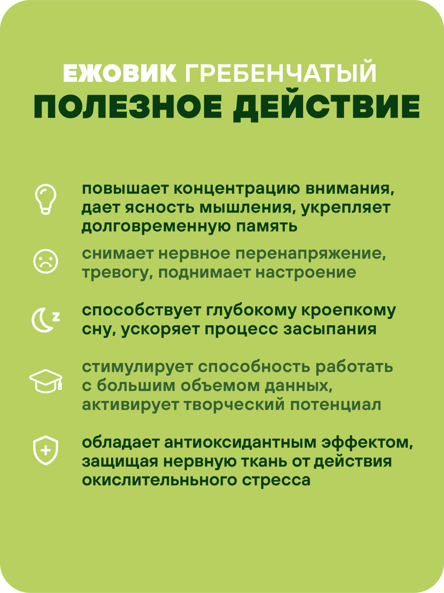 Ежовик гребенчатый