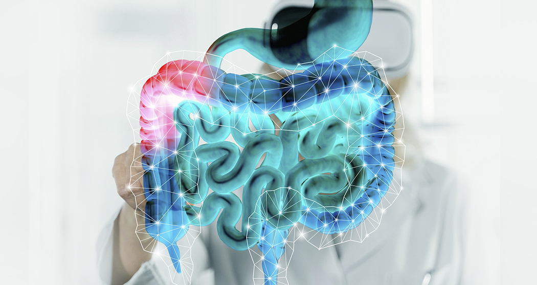 banner_intestinal-motility_300_1.jpg